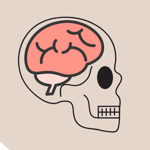 The Homo Sapien Sapien